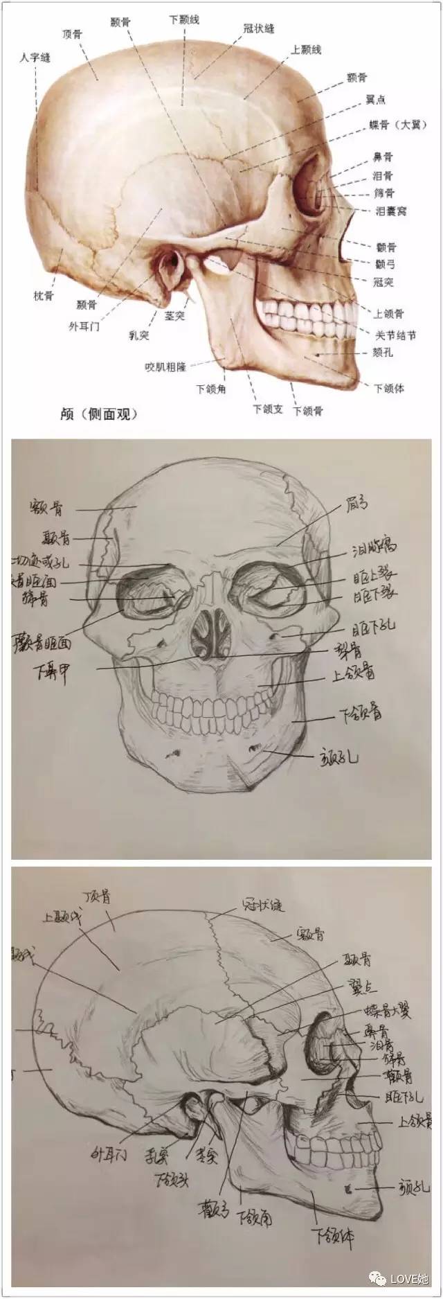 米兰·(milan)中国官方网站